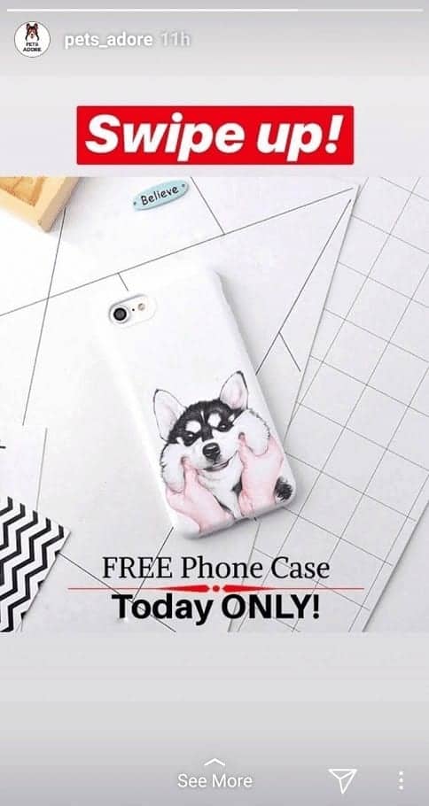 free plus shipping offer example in instagram story