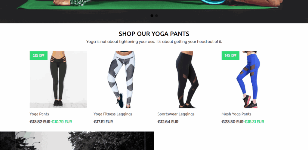 The best Shopify dropshipping themes: Booster Theme demo store 2