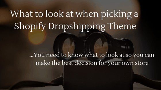 learn what to look at when picking a shopify dropshipping theme