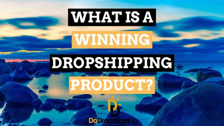 What Is a Winning Dropshipping Product + Winning Dropshipping Product Examples