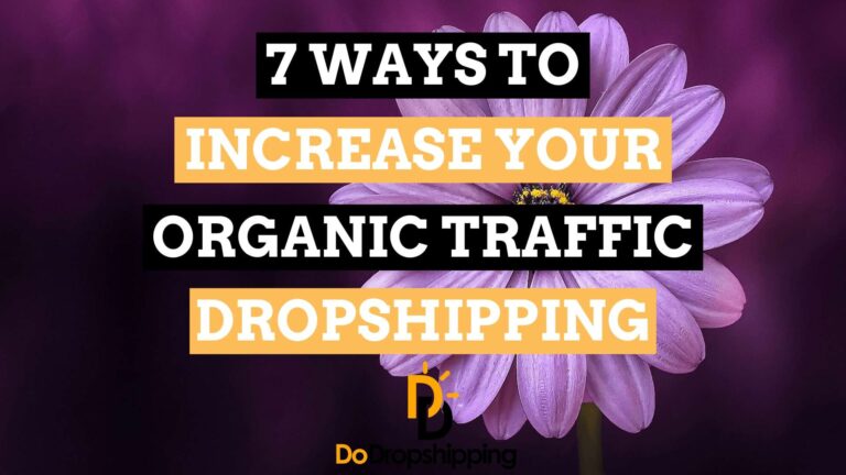SEO for Dropshipping Stores | Get Free Traffic Now!