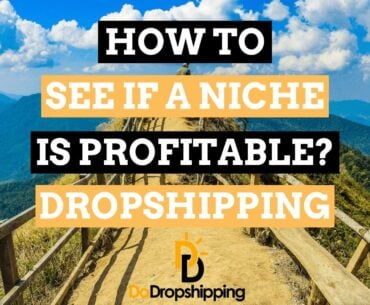 How to Find out If a Dropshipping Niche Could Be Profitable in 2021?