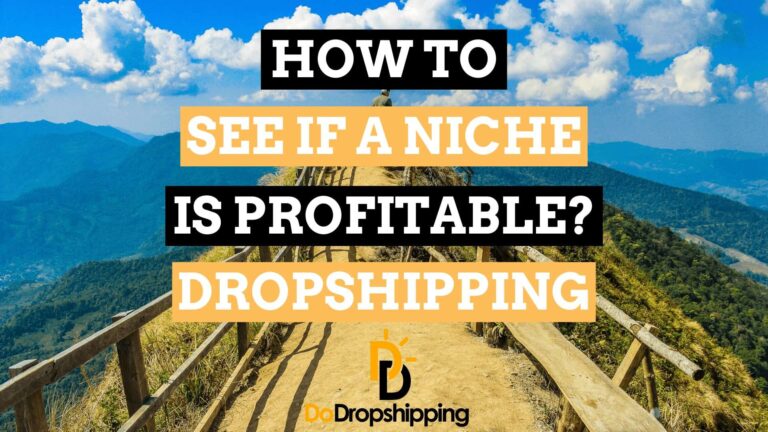 How to Find out If a Dropshipping Niche Could Be Profitable?