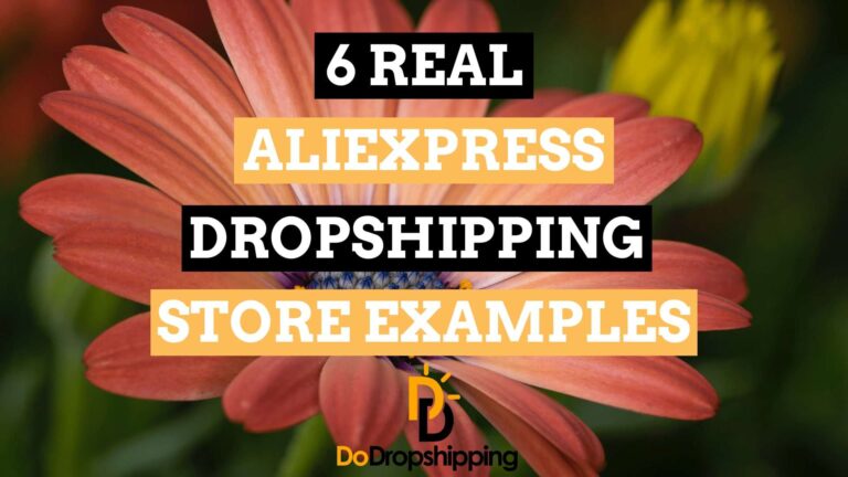 6 Real AliExpress Dropshipping Store Examples | Inspiration