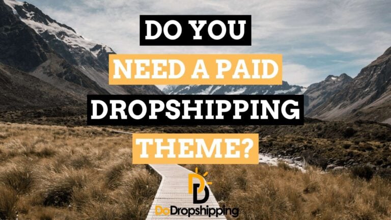 Do You Need a Paid Dropshipping Theme? Free vs Paid