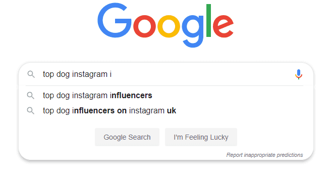 Instagram influencers search on Google