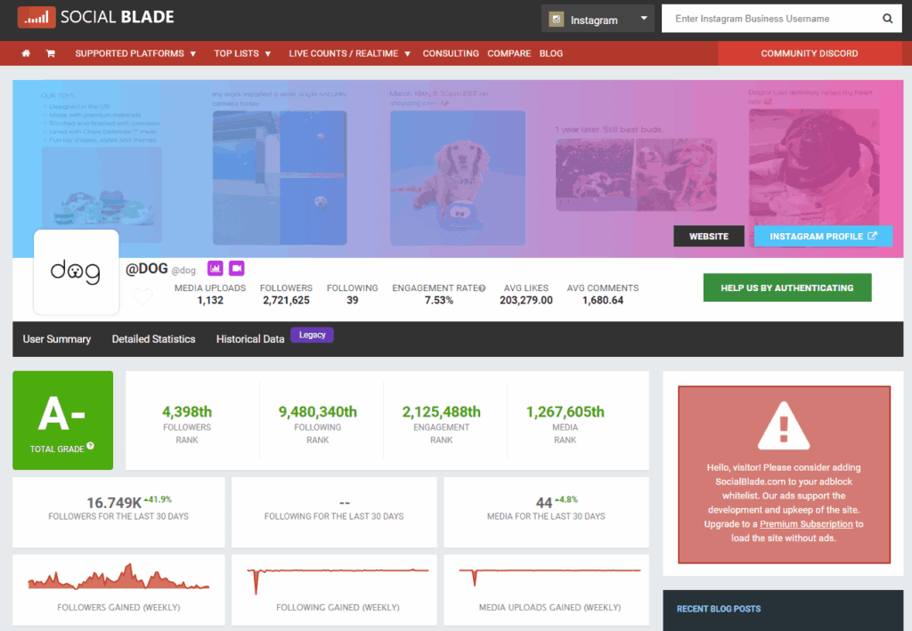 Social blade