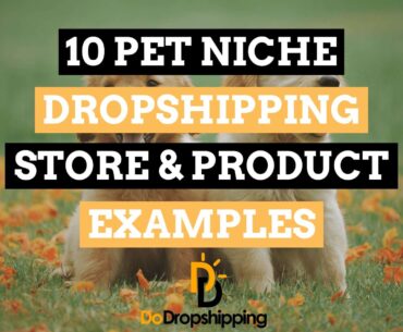 10 Pet Niche Dropshipping Store & Product Examples in 2021!