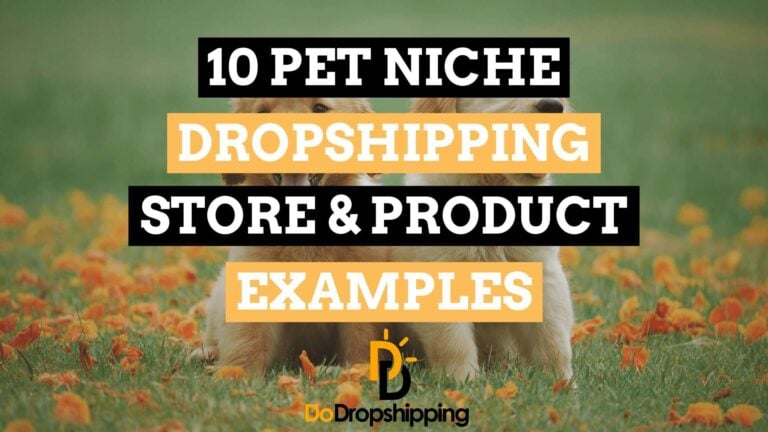 10 Pet Niche Dropshipping Store & Product Examples!