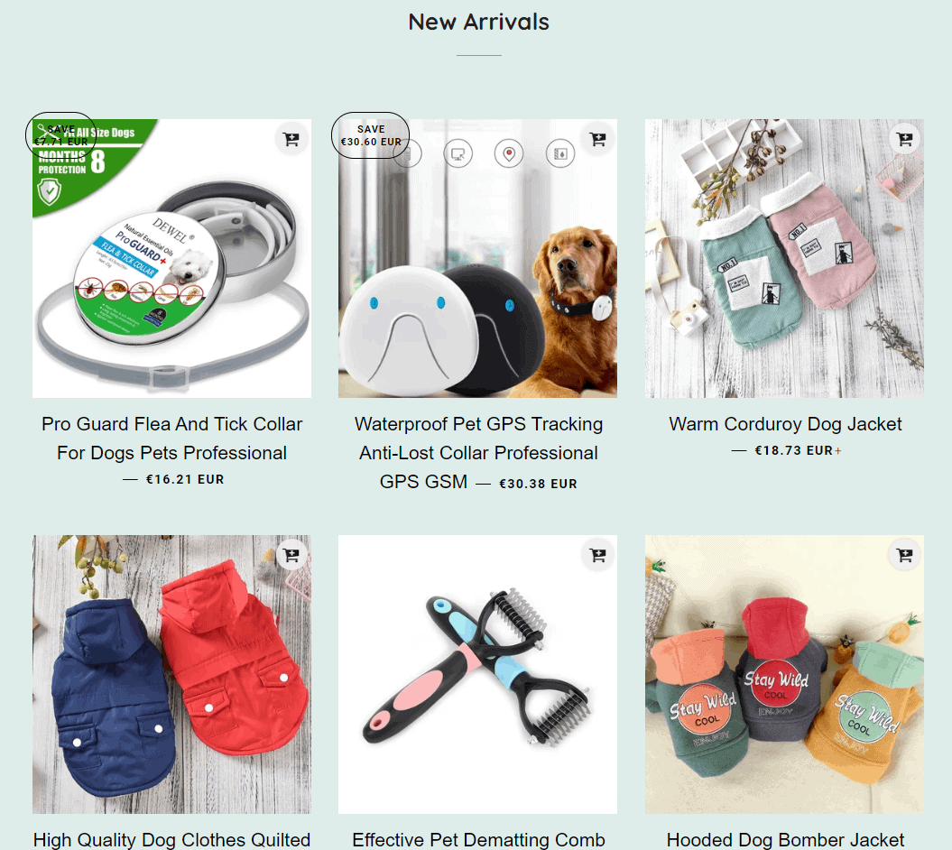 10 Pet Niche Dropshipping Store & Product Examples in 2024!