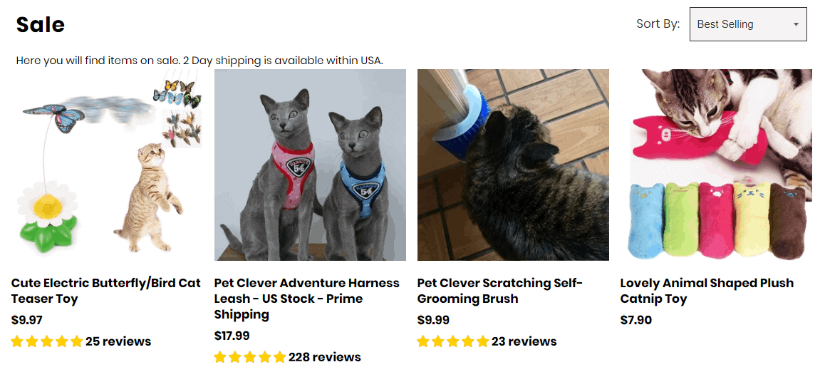 10 Pet Niche Dropshipping Store & Product Examples in 2024!