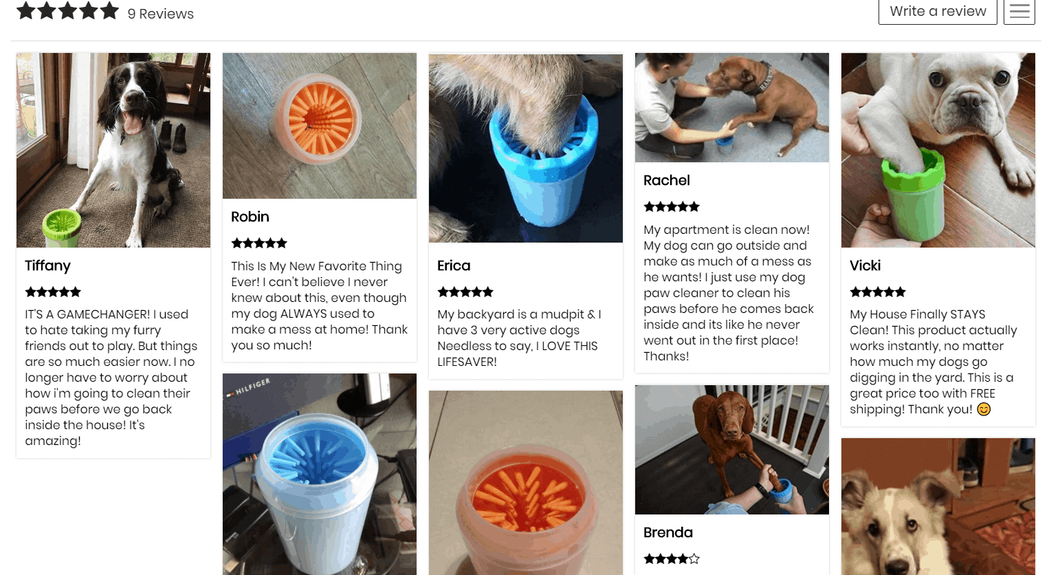 10 Pet Niche Dropshipping Store & Product Examples in 2024!