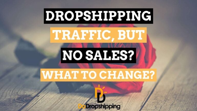 Shopify Dropshipping: Traffic, but No Sales? What to Change?