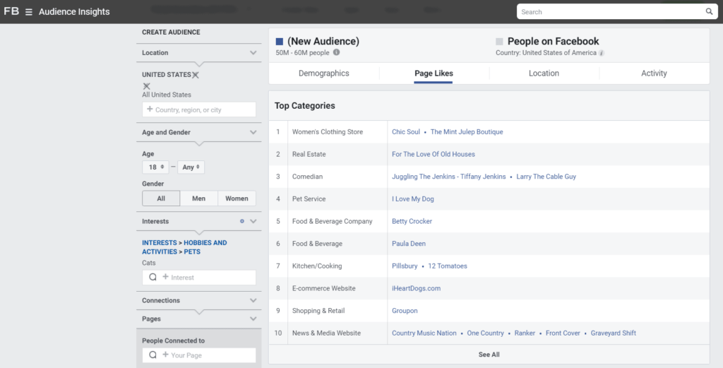 Facebook Audience Insights tool categories