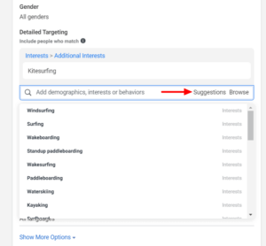 Facebook Ads Interest Targeting for Dropshipping (Guide)