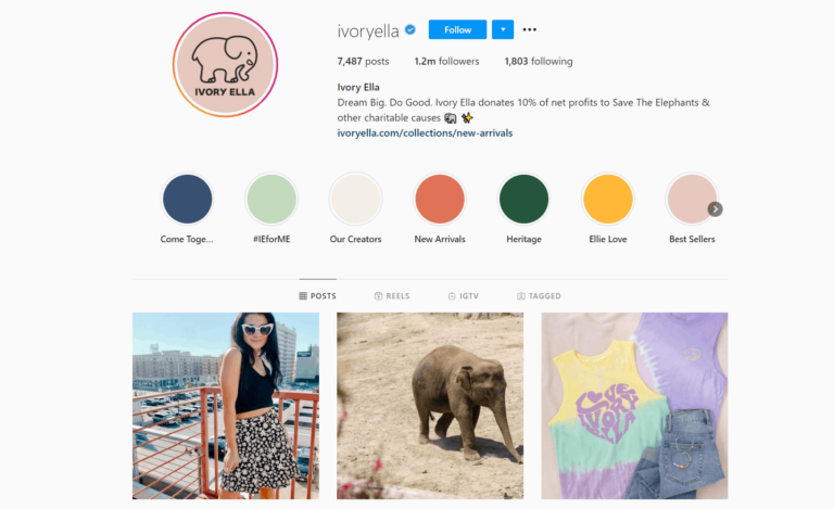 13 Best Ecommerce Store Instagram Account Examples (2026)
