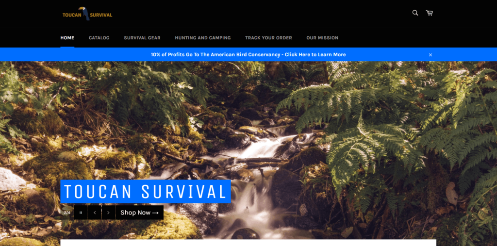 Toucan Survival AliExpress dropshipping store example