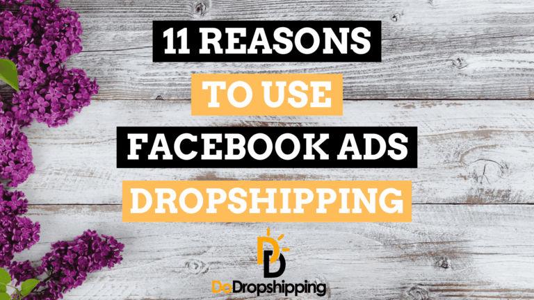 Reasons to Use Facebook Ads for Your Dropshipping Store