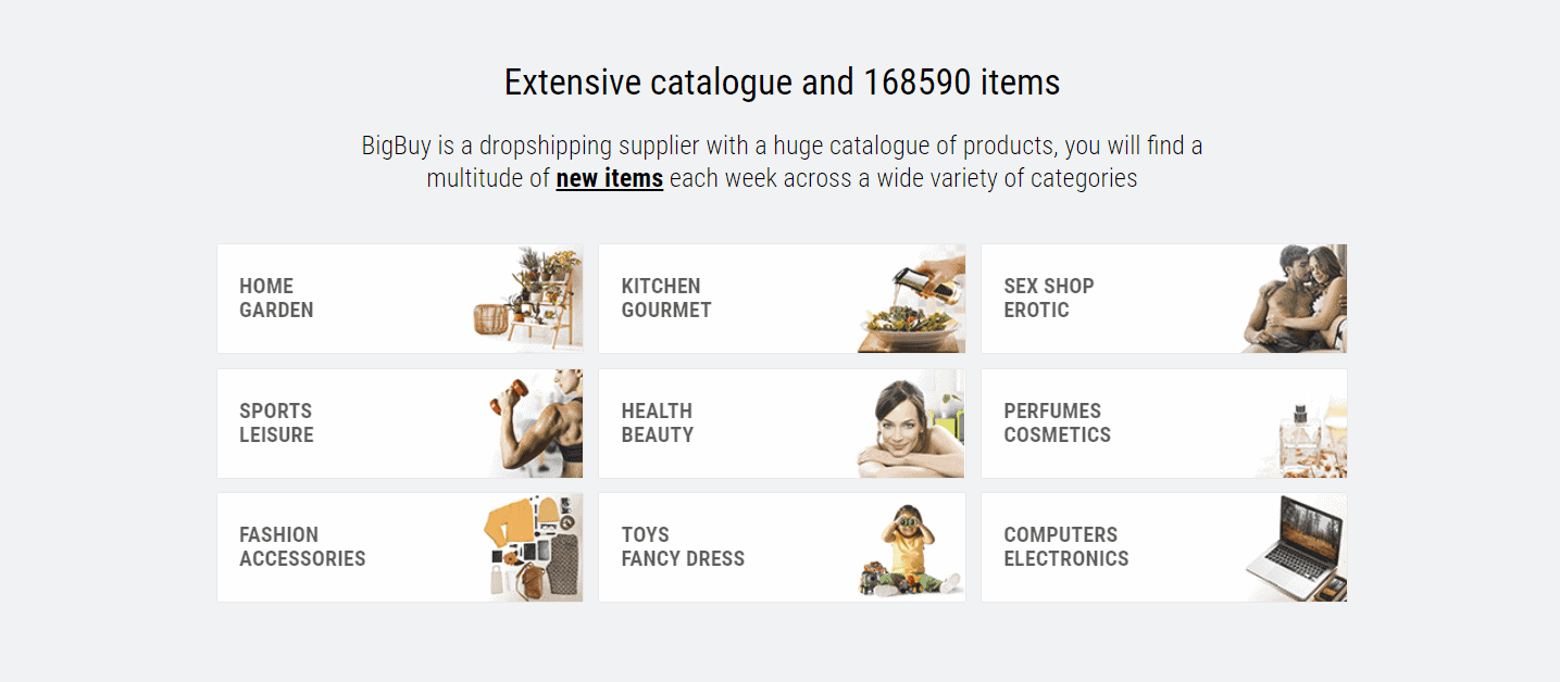 BigBuy Pricing Plans Which One Should You Choose? (2025)