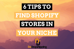How Do You Find Shopify Stores in Your Niche?