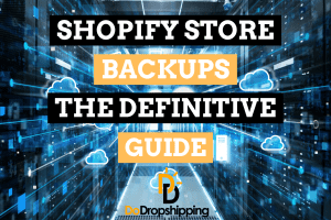 Shopify Store Backups: The Definitive Guide