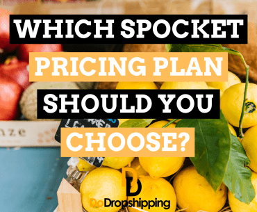 Spocket Pricing Plans: Which One Should You Choose?