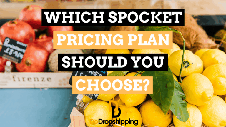 Spocket Pricing Plans: Which One Should You Choose?