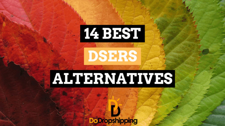 14 Best DSers Alternatives (Find the Right App)