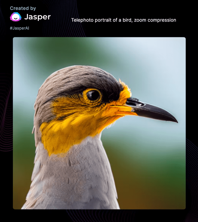 Jasper Art image example bird portrait