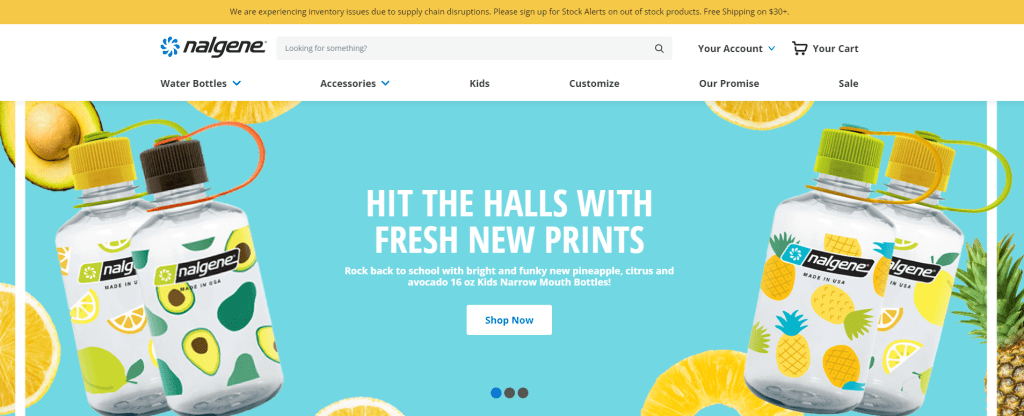 Nalgene homepage