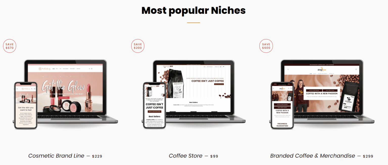 Where to buy a custom shopify store get it premade 