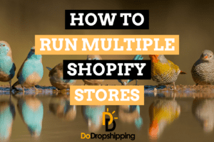 How to Manage Multiple Shopify Stores (& Should You?)