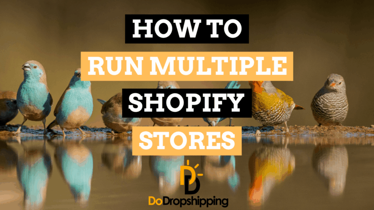 How to Manage Multiple Shopify Stores (& Should You?)