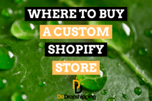 Where to Buy a Custom Shopify Store? (Get It Premade)