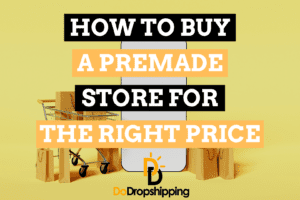 How Do You Buy a Premade Ecommerce Store for the Right Price?
