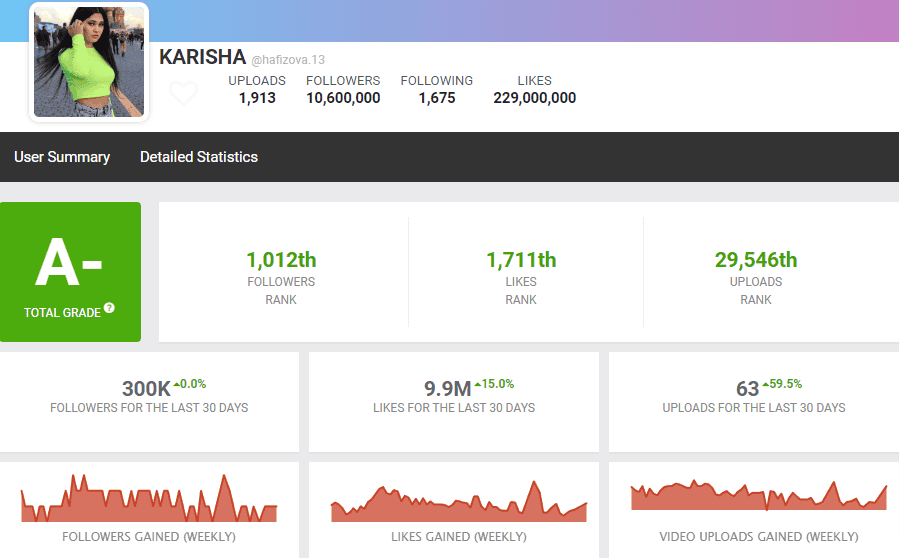 TikTok stats summary profile social blade