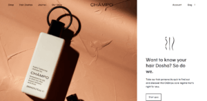 35 Best Ecommerce Quiz Examples (2026) | Inspiration