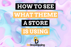 How Do You See What Theme a Shopify Store Is Using?