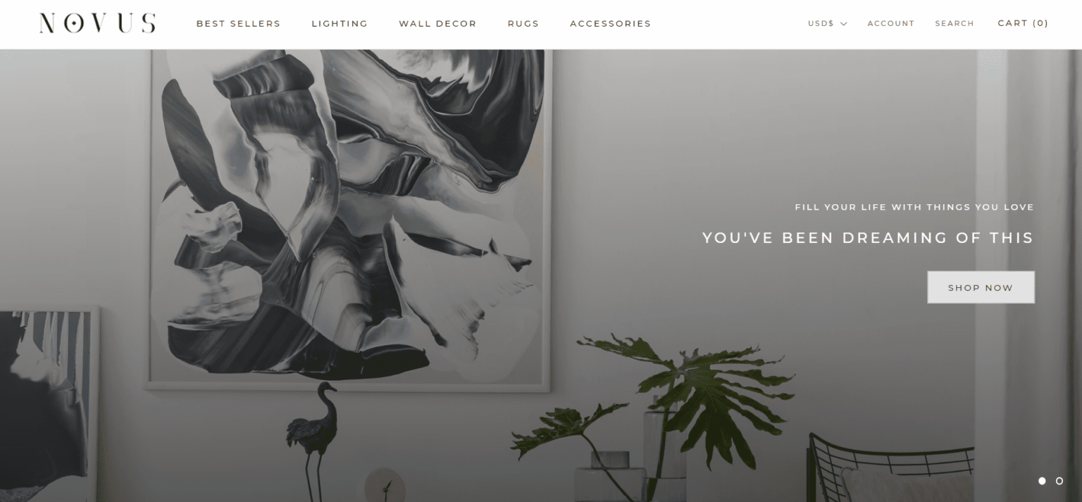 The 12 Best Dropshipping Store Examples in the US (2024)