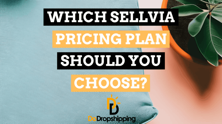Sellvia Pricing Plans: Which One Should You Choose?