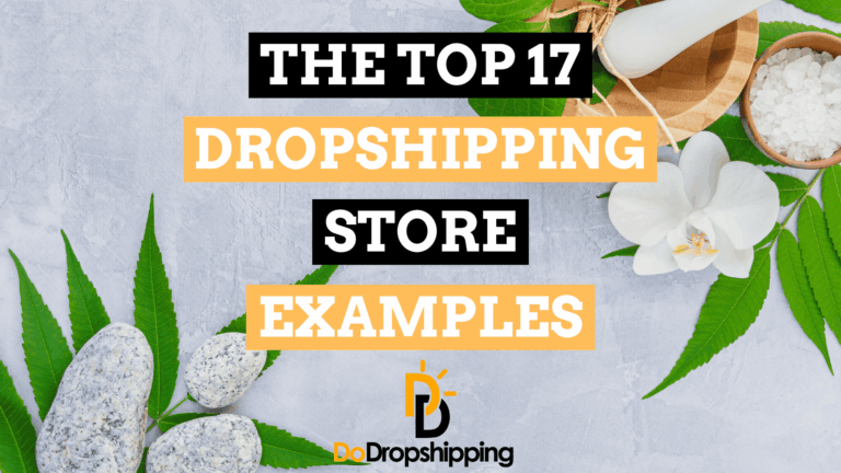 The 17 Top Dropshipping Store Examples (Get Inspired Now)