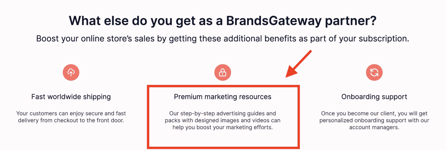 BrandsGateway Review Your Ultimate Clothing Supplier?