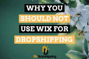 Why You Should Not Use Wix for Dropshipping