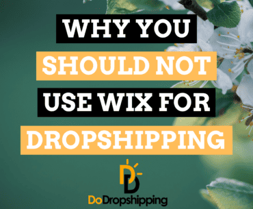Why You Should Not Use Wix for Dropshipping