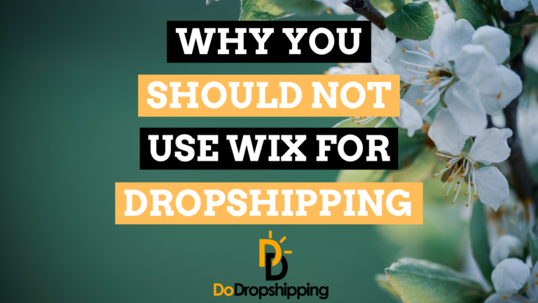 Why You Should Not Use Wix for Dropshipping