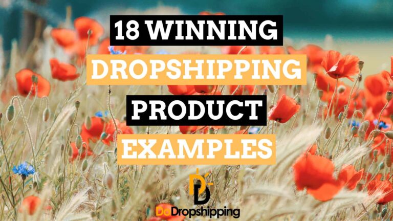 Winning Dropshipping Product Examples