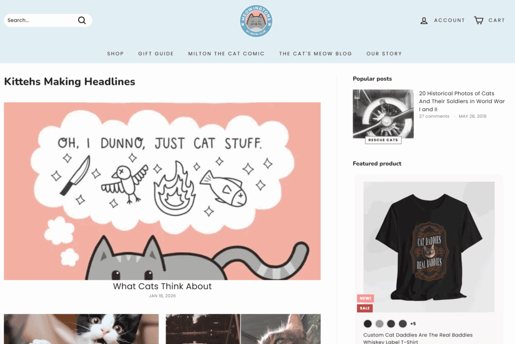 Blog example from Meowingtons