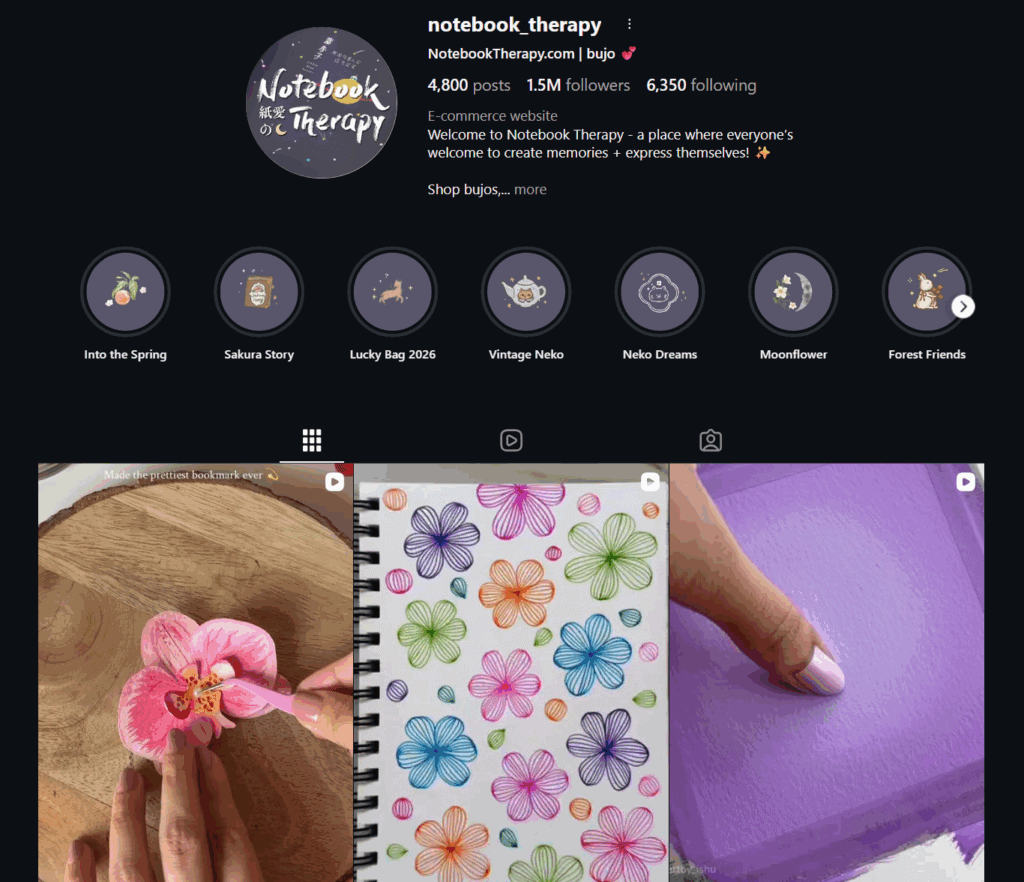 Instagram page example from Notebook Therapy